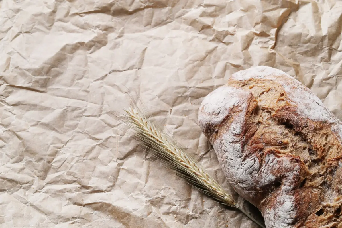 Sourdough Discard Recipes